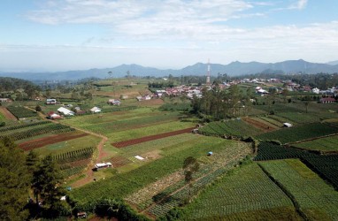 Kisah Petani Sulsel Manfaatkan KUR, Selamatkan Diri dari Jeratan Rentenir