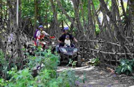 Masuk Romokalisari Adventure Land & Kebun Raya Mangrove Surabaya Kini Berbayar