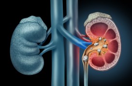 Tanpa 8 Organ Ini Manusia Masih Bisa Hidup, Termasuk Ginjal dan Limpa