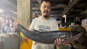 Produksi Ikan Tangkap di Kab. Malang Tembus 22.905 Ton pada 2023