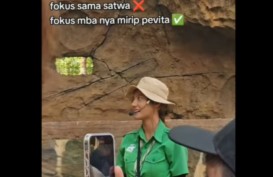 Gibran Komentari Petugas Solo Safari yang Mirip Pevita Pearce: Jadi...