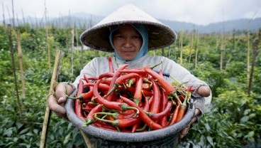 Sulsel Berencana Bentuk Tim Akses Keuangan Sampai Tingkat Desa