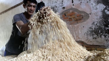 Harga Kedelai Impor Kembali Mengalami Fluktuasi Sejak Tiga Bulan Terakhir