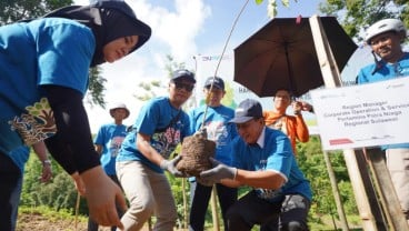 Pertamina tanam 1.000 bibit Pohon di Kebun Raya Pucak Maros