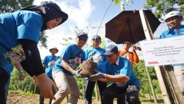 Penghutanan Kembali Sulsel, 1.000 Bibit Pohon Ditebar di Kebun Raya Pucak