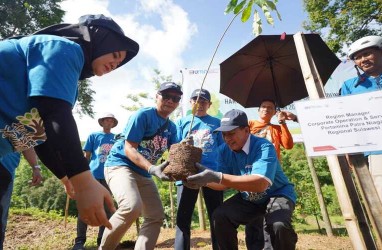 Penghutanan Kembali Sulsel, 1.000 Bibit Pohon Ditebar di Kebun Raya Pucak