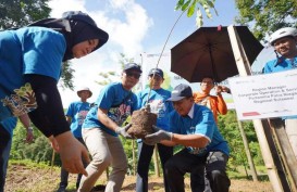 Penghutanan Kembali Sulsel, 1.000 Bibit Pohon Ditebar di Kebun Raya Pucak