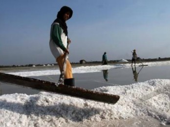Petambak Kabupaten Cirebon Didorong Produksi Garam Mutu Tinggi