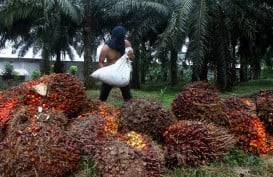 Ekspor Anjlok, Ekonomi Masyarakat Riau Ikut Terdampak
