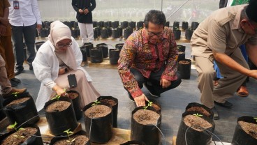 BI NTB Kembangkan Smart Farming Berbasis Pesantren