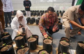 BI NTB Kembangkan Smart Farming Berbasis Pesantren