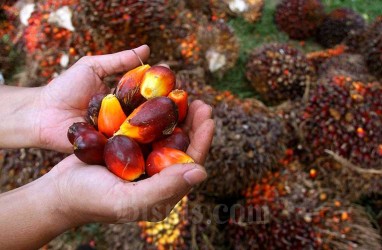 Harga Sawit Riau Pekan Ini Naik Tipis ke Posisi Rp2.613,70 per Kg