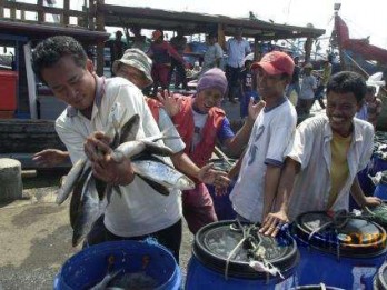 Tangkapan Ikan Nelayan di Lebak Banten Meningkat Drastis
