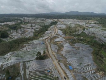 CEK FAKTA: Uji Klaim Mahfud MD Sebut Proyek Food Estate Gagal