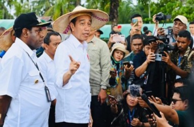 Food Estate Proyek Andalan Jokowi Disebut Gagal, Istana Buka Suara