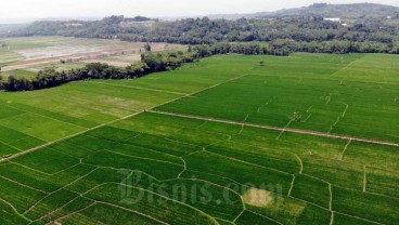 98.400 Hektare Lahan Sawah di Sumsel akan Dioptimasi