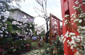 Desa Wisata Tematik di Kota Batu Bertambah, Terbaru Kampung Sakura