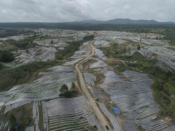 Ganjar-Mahfud Tidak Akan Lanjutkan Food Estate Jokowi, Ini Gantinya