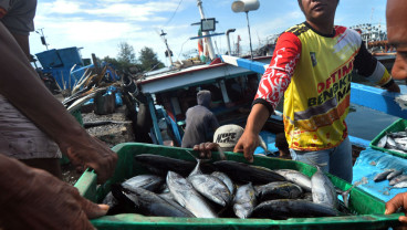 Penerimaan Negara Bukan Pajak (PNPB) Dari Sektor Penerimaan Negara Bukan Pajak (PNPB) Dari Sektor Pengelolaan Ruang Laut Mencapai Rp707 Miliar