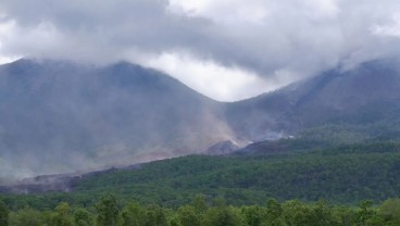 Aliran Lava Picu Kebakaran Hutan 420 Hektare di Sekitar Gunung Lewotobi