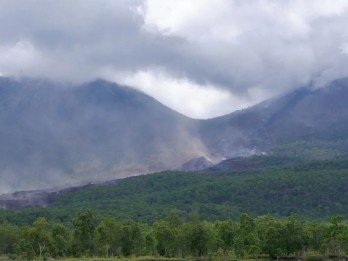 Aliran Lava Picu Kebakaran Hutan 420 Hektare di Sekitar Gunung Lewotobi