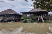 Banjir Jambi, 2.570 Hektare Lahan Pertanian Terdampak