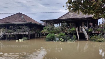 Banjir Jambi, 2.570 Hektare Lahan Pertanian Terdampak