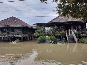 Banjir Jambi, 2.570 Hektare Lahan Pertanian Terdampak