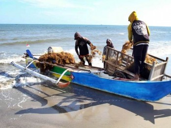 Budi Daya Rumput Laut di Pesisir Utara Bangkalan Bisa Perkuat Ekonomi Nelayan