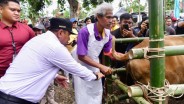 Sulsel Kucurkan Rp2 Miliar untuk Kembangkan Peternakan Warga di Soppeng