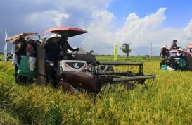 Kemitraan dengan Petani di Sumsel, Wilmar Targetkan 5.000 Hektare