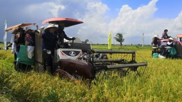 Kemitraan dengan Petani di Sumsel, Wilmar Targetkan 5.000 Hektare