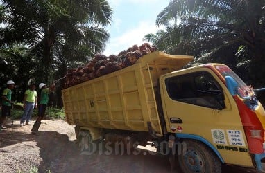 Faktor Pemilu dan Harga Komoditas Bayangi Penjualan Truk 2024