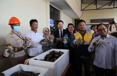 Batam Ekspor Perdana Kepiting Bakau Menuju China