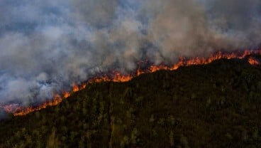 Terdampak El Nino, KLHK Klaim Kebakaran Hutan dan Lahan 2023 Tak Sebesar 2019