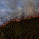 Terdampak El Nino, KLHK Klaim Kebakaran Hutan dan Lahan 2023 Tak Sebesar 2019