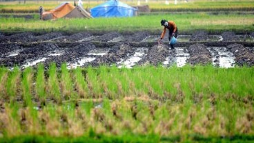 Proyeksikan Pertumbuhan Ekonomi 5%, Sulsel Bakal Perkuat Sektor Primer