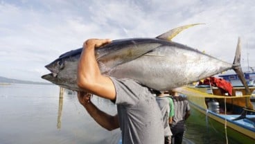 Sulsel Pacu Produksi Perikanan Tangkap