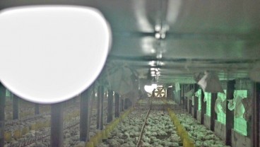 Kisah Peternak di Gowa Hemat Rp25 Juta Berkat Konversi Energi