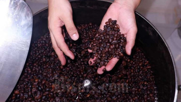 Indonesian Coffee Producers Eye Philippine Market