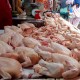 Harga Daging Ayam di Sumut Naik, Ekonom: Bukan Akibat Tingginya Permintaan