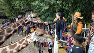 Kebun Binatang Surabaya Diapresiasi, Ini Keunikannya