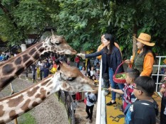 Kebun Binatang Surabaya Diapresiasi, Ini Keunikannya
