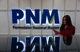 Dirut PNM Curhat Restrukturisasi Kredit Sampai 73% Saat Pandemi