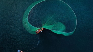 eFishery dan HSBC: Merajut Jaring Global Tanpa Batas Fisik