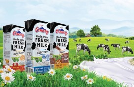 Daftar Emiten Susu di BEI yang Berpeluang Terdampak Program Susu Gratis Capres Prabowo-Gibran