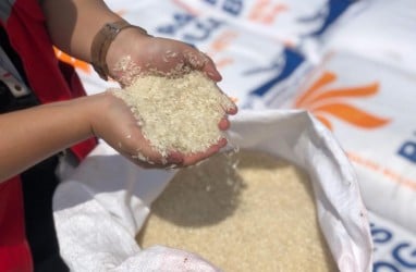 Harga Beras di Sumedang Naik Rp1.000 per Kg dalam Sepekan Terakhir