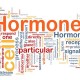 Simak 10 Makanan Penyeimbang Hormon Bagi Perempuan dan Laki-laki