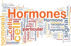 Simak 10 Makanan Penyeimbang Hormon Bagi Perempuan dan Laki-laki