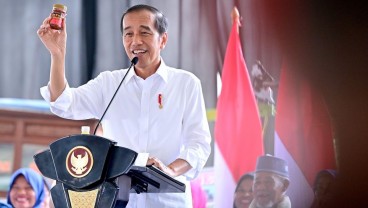 Kreatif Bikin Merek, Jokowi Apresiasi Produk Nasabah PNM Mekaar